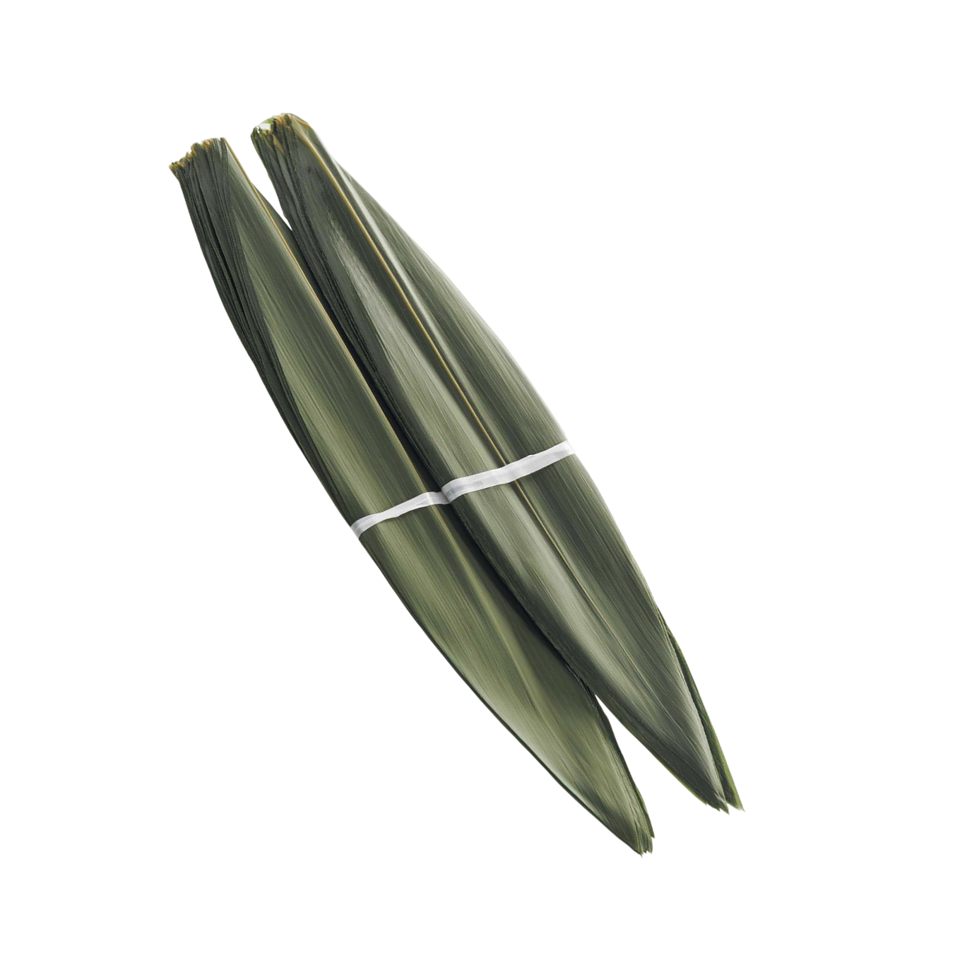 Листья бамбуковые соленые консервированные, 100 шт